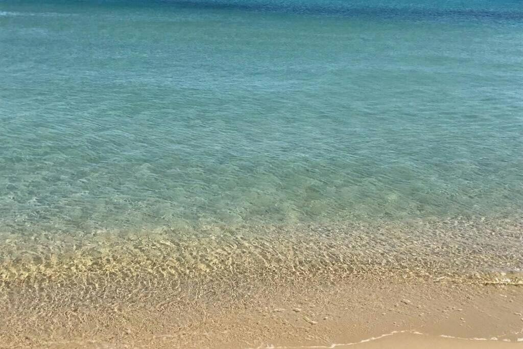 2 Bedrooms, 15 Min Walk To Beach, Ac, Pool & Fiber Internet In A Quiet, Private Gated Domain 5Kms To St Tropez Cogolin Extérieur photo