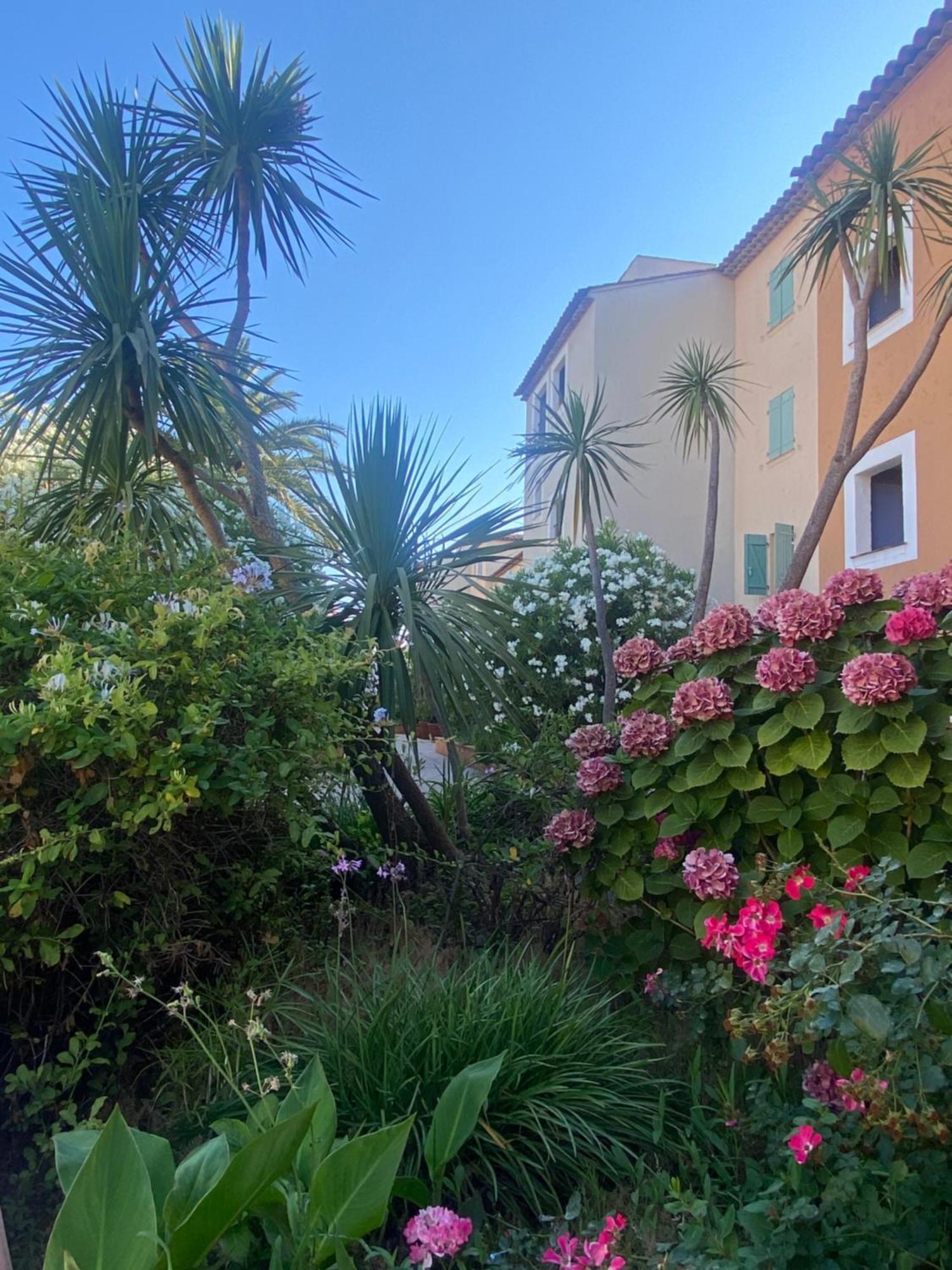 2 Bedrooms, 15 Min Walk To Beach, Ac, Pool & Fiber Internet In A Quiet, Private Gated Domain 5Kms To St Tropez Cogolin Extérieur photo