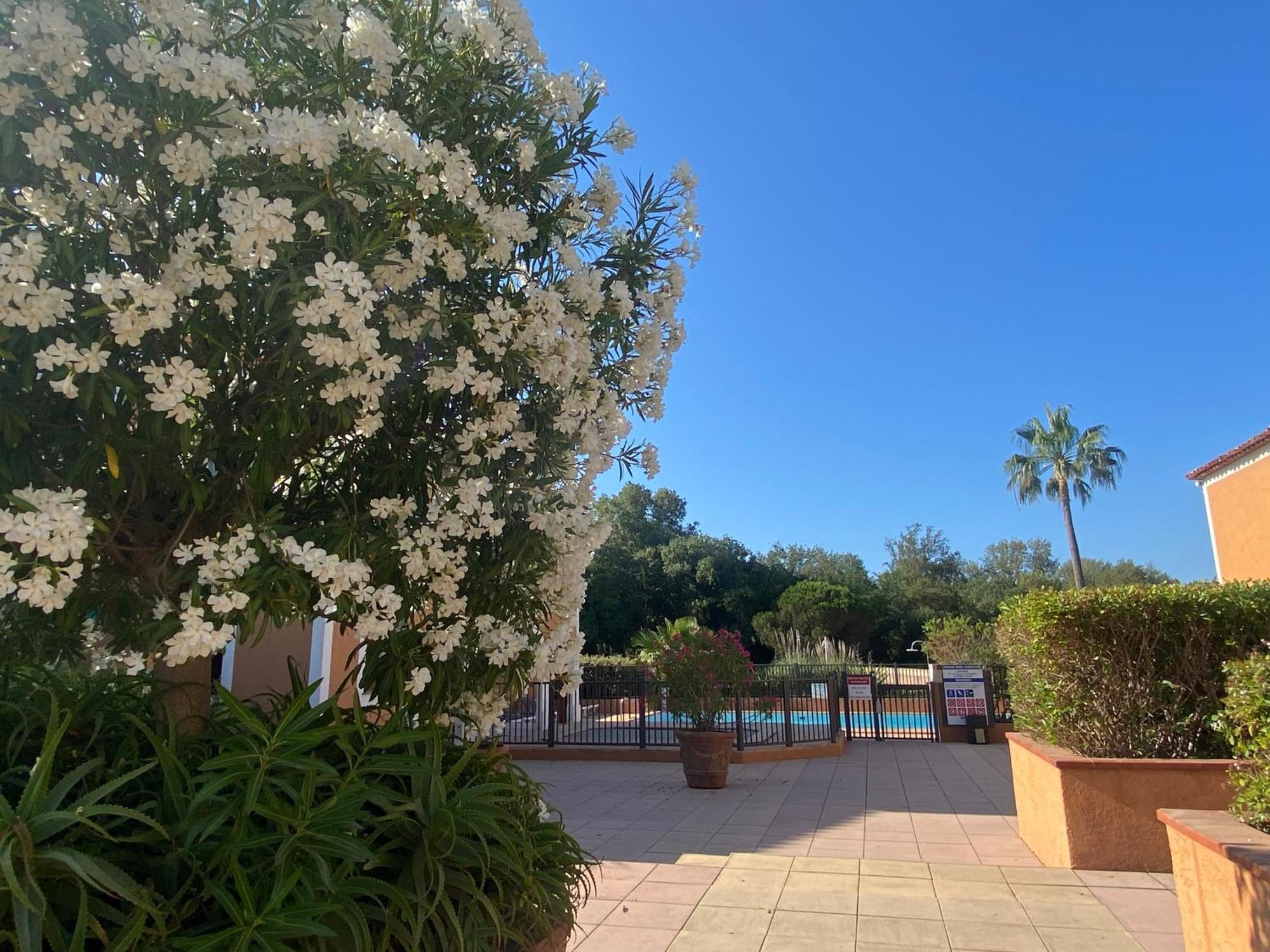 2 Bedrooms, 15 Min Walk To Beach, Ac, Pool & Fiber Internet In A Quiet, Private Gated Domain 5Kms To St Tropez Cogolin Extérieur photo